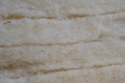 Detailaufname Bio Wollvlies für Fau Wolles Wollbettwaren